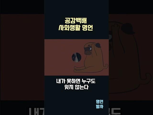 공감백배 사회생활 명언