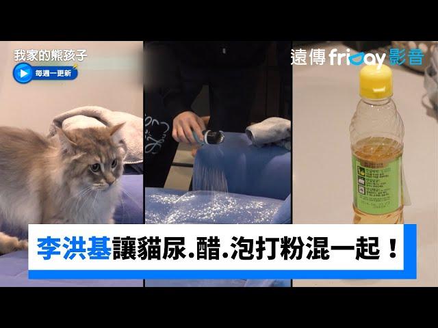 李洪基讓貓尿、醋、泡打粉臭味混在一起！_《我家的熊孩子》第447集_friDay影音韓綜線上看
