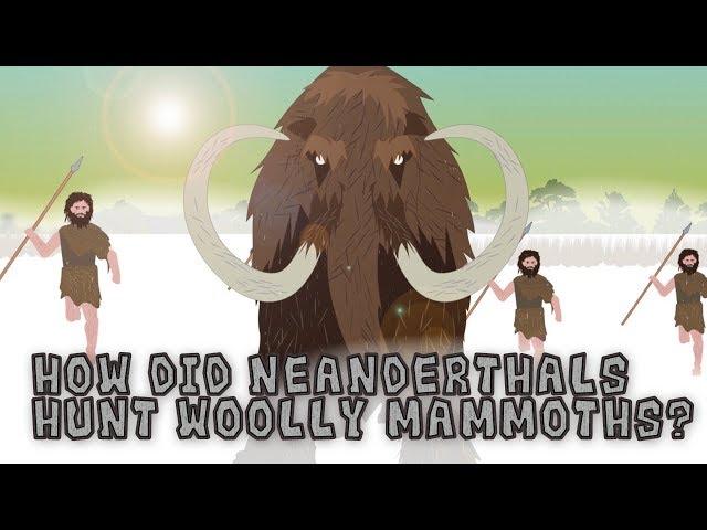 How did Neanderthals Hunt Woolly Mammoths?