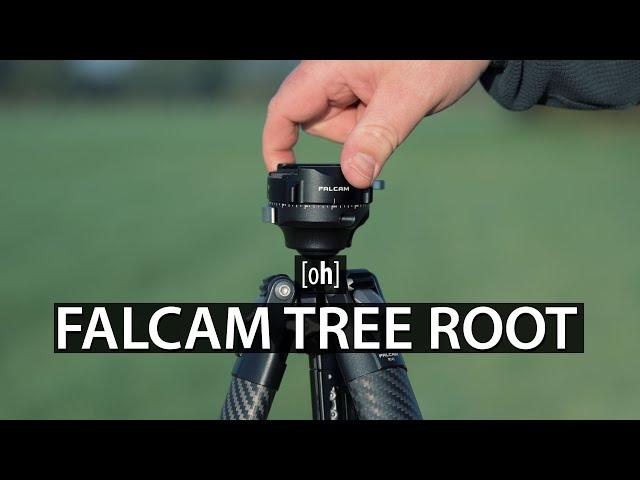 Falcam Tree Root Review - Mein neues Lieblings-Stativ