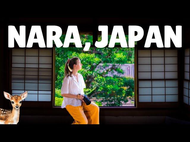 A day trip to NARA | Japan Travel Vlog  Nara Deer Park, Todai-ji Temple, Viral Mochi  #narajapan