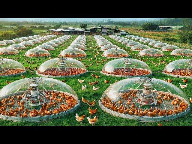 INCREDIBLE FARMS THAT WILL SHOCK YOU