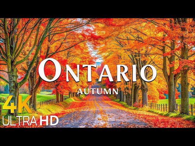 Ontario Autumn 4K UHD  Gorgeous Fall Foliage & Relaxing Autumn Ambience with Beautiful Piano Music