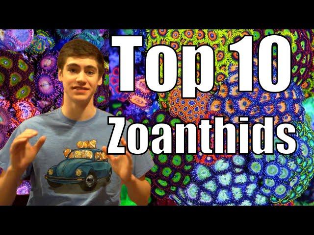 Top 10 Zoanthids and Palythoas -for Reef Tanks