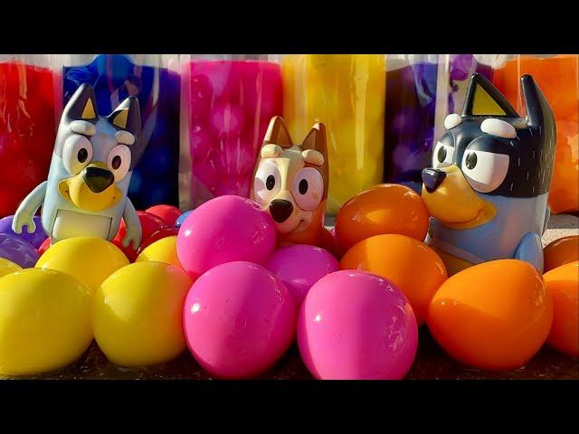 Goblies Paintballs - Bluey toys pretend play