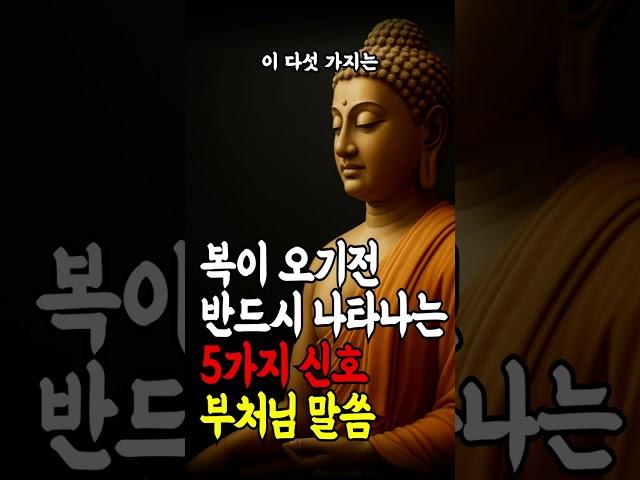 복이 오기 전, 반드시 생기는 5가지 전조 #부처님말씀 #명언 #자기수행 #불교오디오북 #마음공부 #인생조언 #지혜 #마음수행
