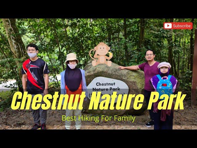 Best Hiking Trail In Singapore - Chestnut Nature Park