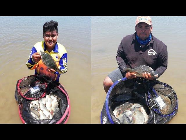 Superfish SA: 73 fish caught at Khayalami, Albert falls