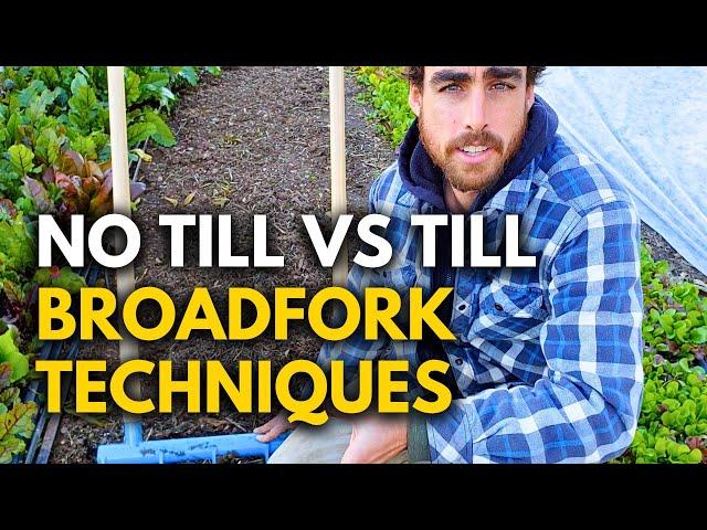 No-Till Gardening Explained: Why Tilling Could Be Ruining Your Garden