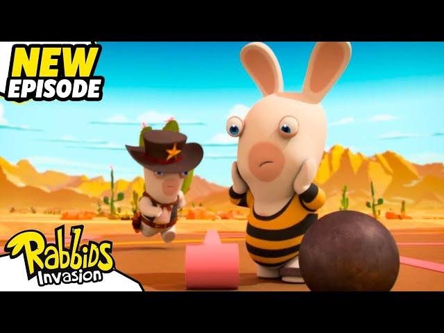 Rabbid Jailbirds (S04E013) | RABBIDS INVASION | New episodes | Cartoon for Kids