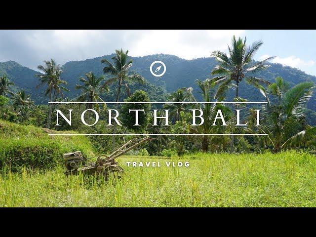 Discovering HIDDEN GEMS in NORTHERN BALI ️