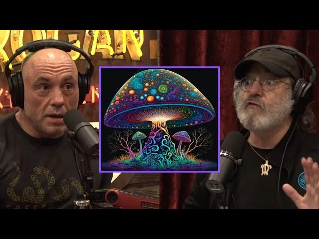 Paul Stamets Shares WILDEST Mushroom Trip Story