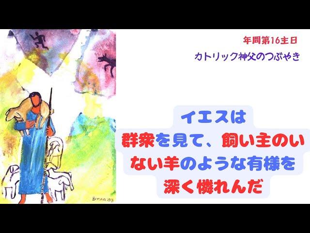 カトリック神父のつぶやき 「イエスは群衆を見て、飼い主のいない羊のような有様を深く憐れんだ」B年 年間第16主日 2024年7月21日