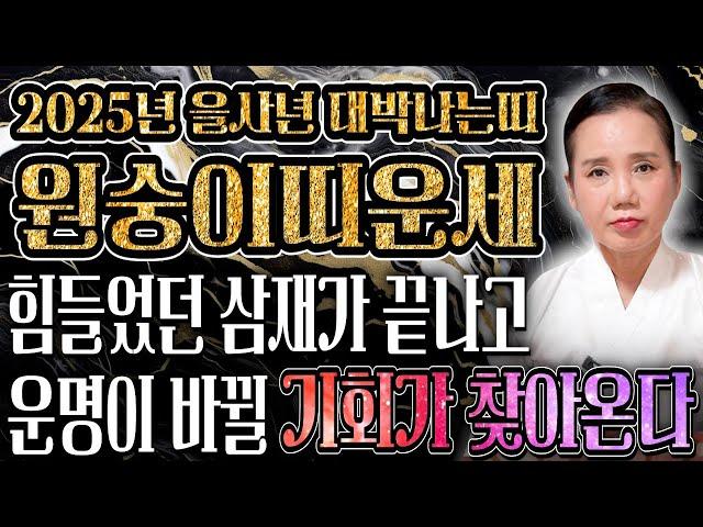 2025년 을사년 원숭이띠운세 '활짝 웃게된다' 2025년 금전이 미친듯이 들어와 순식간에 부자가 된다?! 금전,문서운 대박난다 56년 68년생 80년생 92년생 원숭이띠 운세