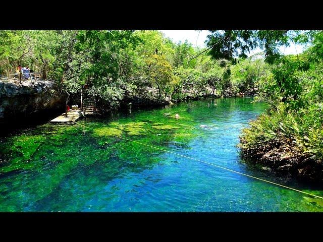 Cenote Jardin del Eden Cenotes Snorkeling Riviera Maya Quintana Roo Yucatan Mexico GoPro UHD 4K