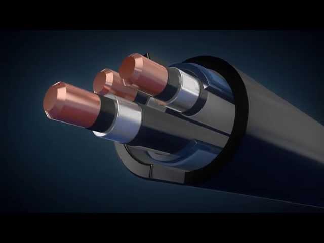 LLC System explainer 3D animation