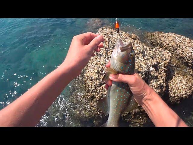 Independent fishing in Pattaya - Koh LAN Island (Nual Beach) - Pattaya Fishing shops