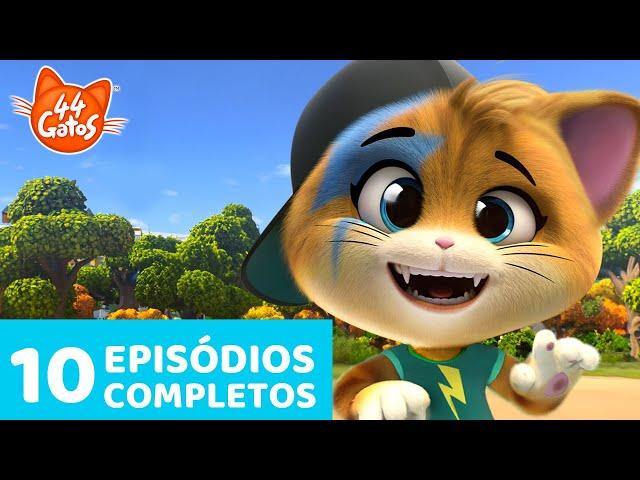 44 Gatos | 10 Episódios completos  | Momentos gatásticos | Temporada 1