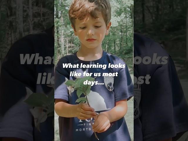 What Learning Looks Like for Us