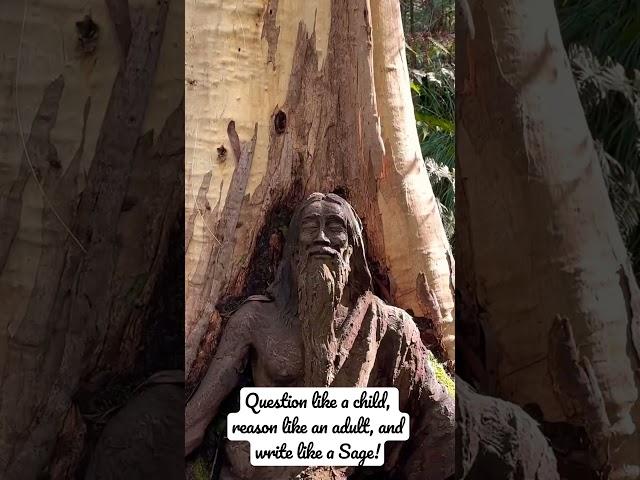 Question like a child, reason like an adult, and write like a Sage #bepositive #happy #nature #guru