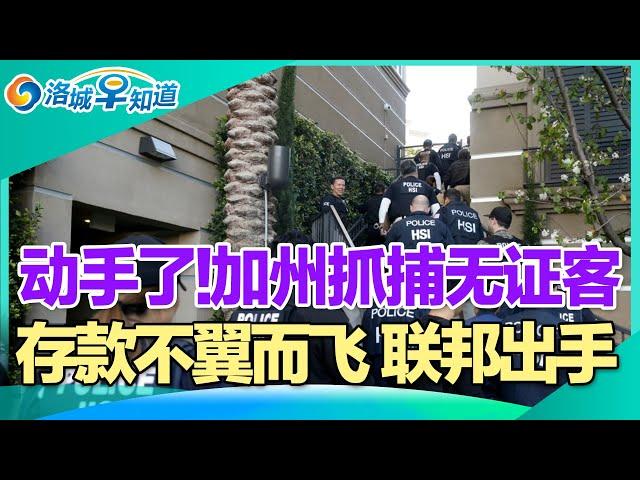 因身穿假大牌 无证客被定重罪!加州开发新地 建设拘留营!年底乘机 千万要早到机场!存款不翼而飞 联邦起诉多家银行!百万留学月薪几千 值吗!圣诞节车上挂彩灯 违法警告! I洛城早知道20241224