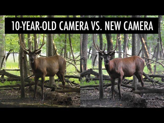 10-Year-Old DSLR vs New Mirrorless Camera Test