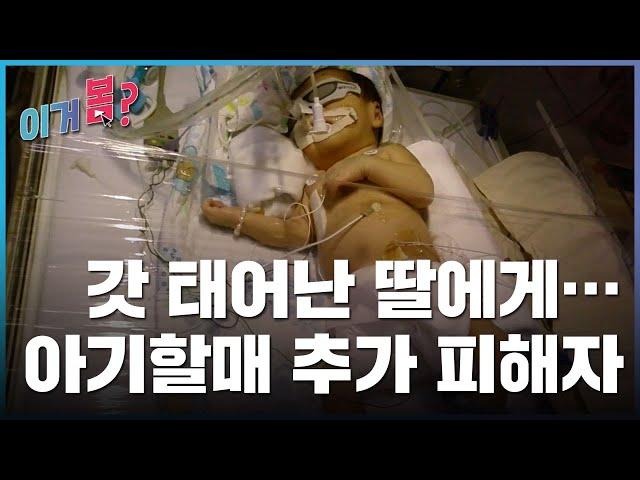 [이거봄?] 6월 셋째 주 l  '아기할매' 추가 피해자..."14살 딸, 뇌병변 1급 장애" / YTN