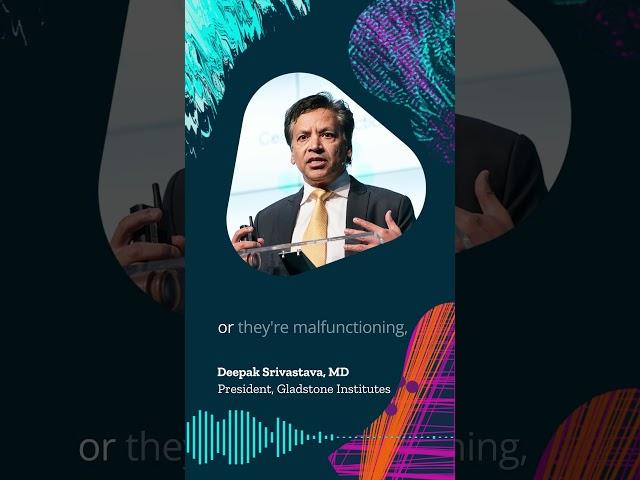 Getting to the Root Causes of Disease | Deepak Srivastava on Cell Regeneration and Gene Editing