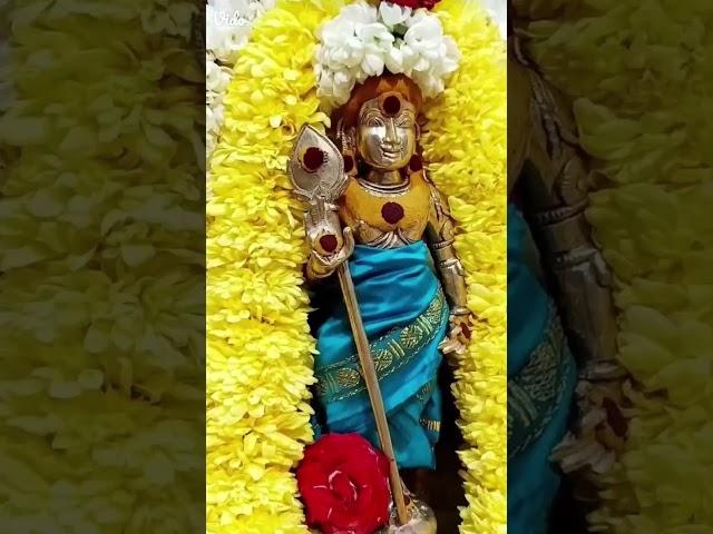 ayyappa Swami 
