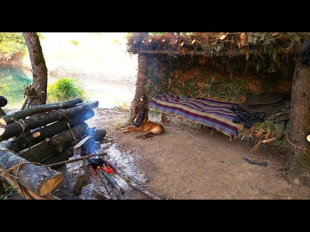 Build Bushcraft Shelter, 3 Days Solo Camp, Wild Camping, Primitive Technology, Survival Skills