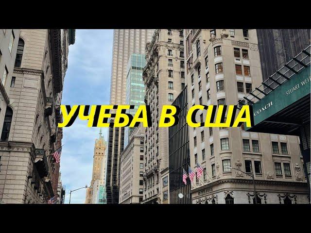 Учеба в США: Как учиться в Америке БЕСПЛАТНО? (Самый полный гайд)