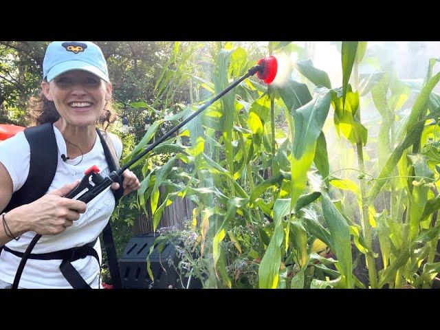 I’m loving my battery-powered backpack sprayer! | Here She Grows