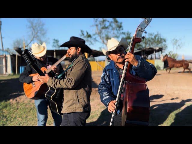 Lo más hermoso - Antonio Rivas y Los Viejos de Los Llanos