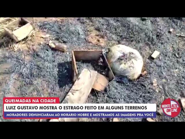 Luiz Gustavo mostra os estragos das queimadas nos terrenos em Monte Alto