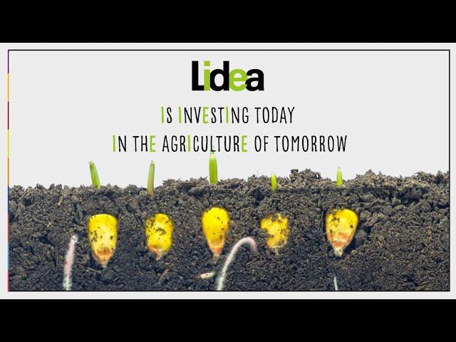 Lidea presentation in motion design