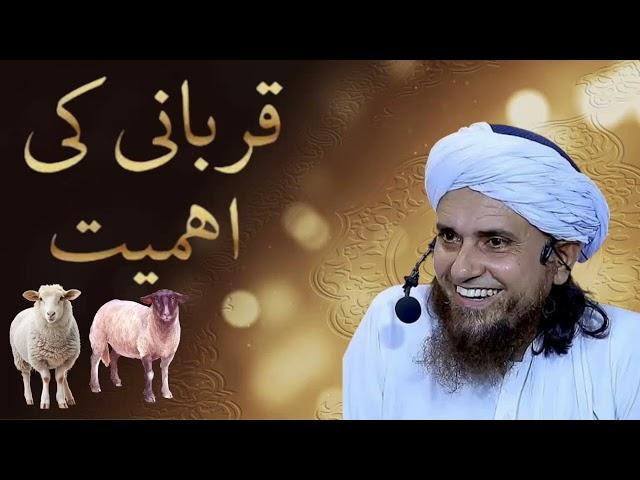 Kurbani Ki Ahmiyat Bayan || Mufti Tariq Masood || Today Bayan #islam #bayan #video