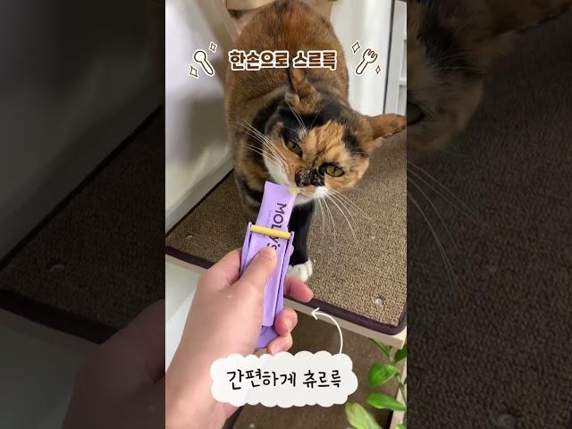 츄르륵으로 츄르 편하게 먹이며 촬영하기 #사무실고양이 #츄르짜개 #츄르 #츄르먹방 #츄르륵 #고양이일상 #고양이먹방