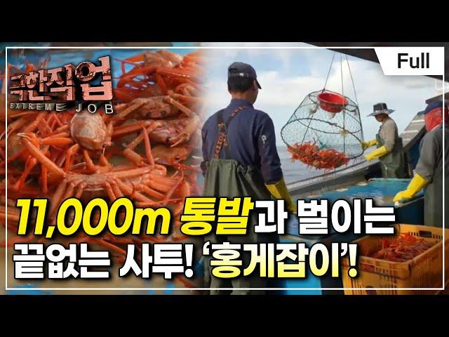 [Full] 극한직업 - 갯벌과 바다의 진미! 낙지와 홍게
