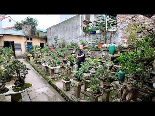 Mãn nhãn vườn Bonsai mini đẹp nhất khu vực của bác Huynh