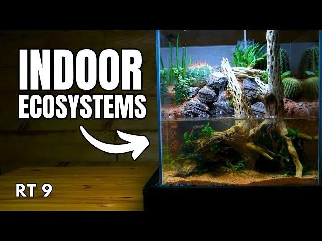 The Secret to Building Indoor Ecosystems