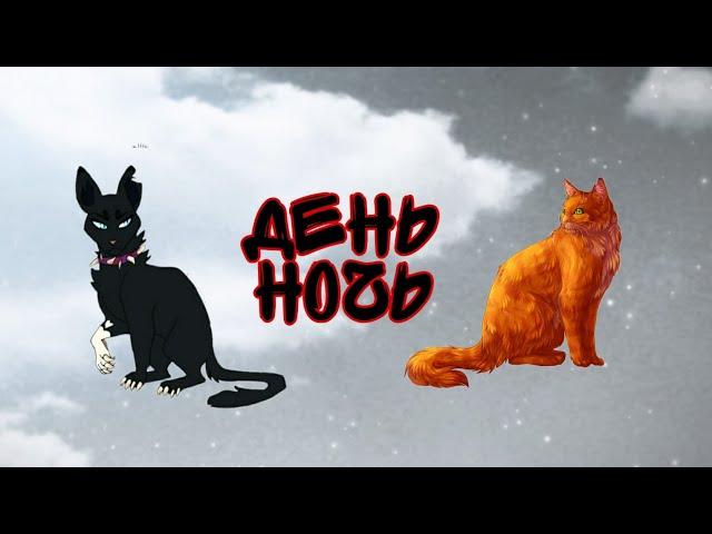 Коты воители. Клип :ЗАКАЗ:-День ночь