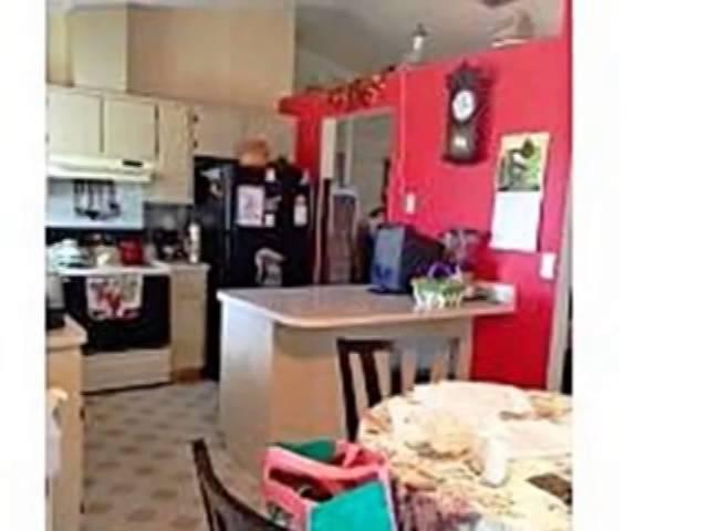 Homes for Sale - 13304 Drysdale St Spring Hill FL 34609 - Susan Domingues