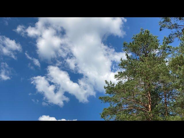 ВЕСЫ - "ОДНАЖДЫ" РАЗБОР ЖИЗНЕННОЙ  СИТУАЦИИ  | ПРОГНОЗ ДО 01.07.2025 |  от NATALLIA MARKOWSKA