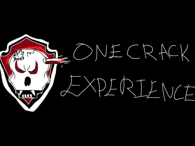 The onetap crack experience