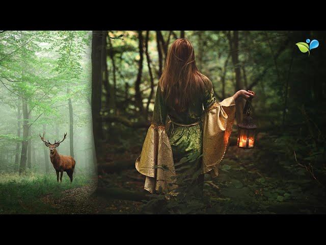 Enchanted Celtic Music | 432Hz Nature Music | Magical Forest Sounds