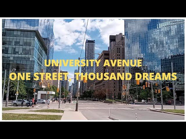 UNIVERSITY AVENUE: ONE STREET, THOUSAND DREAMS