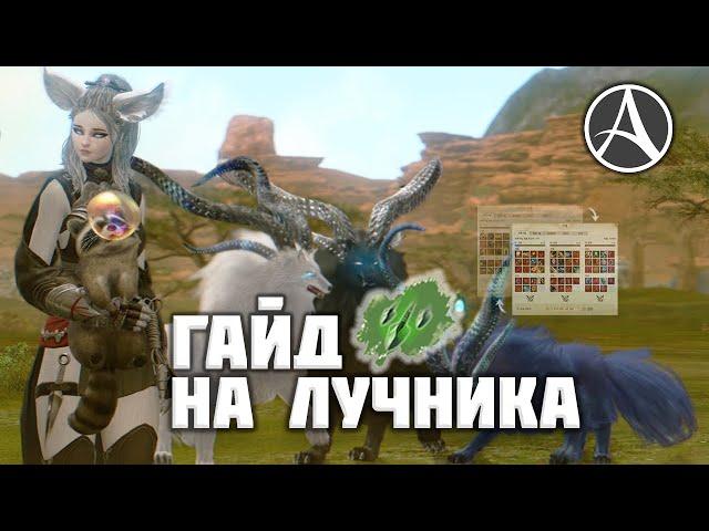 ГАЙД НА ЛУЧНИКОВ В ARCHEAGE. ШМОТ, ГРАВЫ, СБОРКИ, БИЛДЫ | HAWKEYE