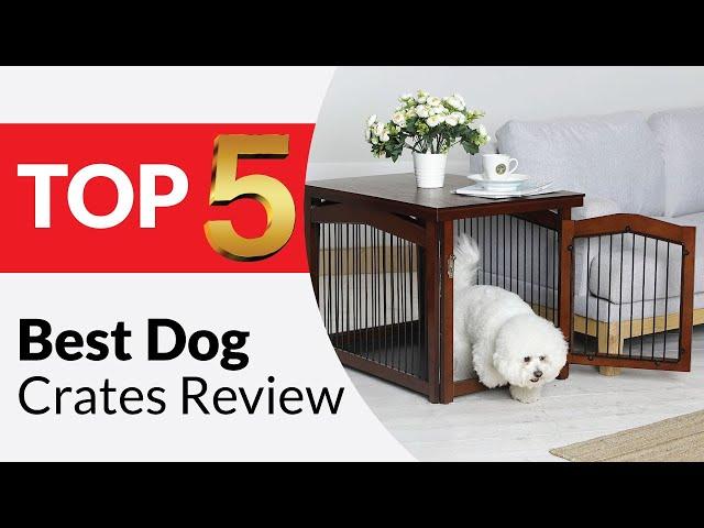 Top 5 Best Dog Crates Review in 2025 [Buying Guide]