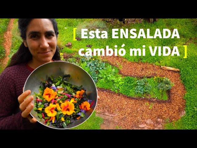 Wild Plants for this amazing salad