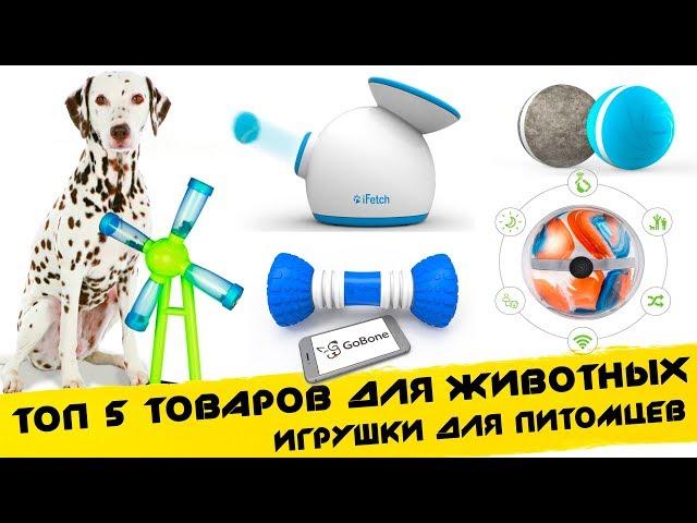  Топ 5 ИГРУШКИ ДЛЯ СОБАК / ТОВАРЫ ДЛЯ ЖИВОТНЫХ